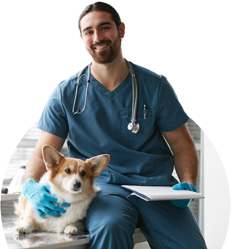 NexxGen Veterinary Diagnostic Laboratory Vet and Patient Dog