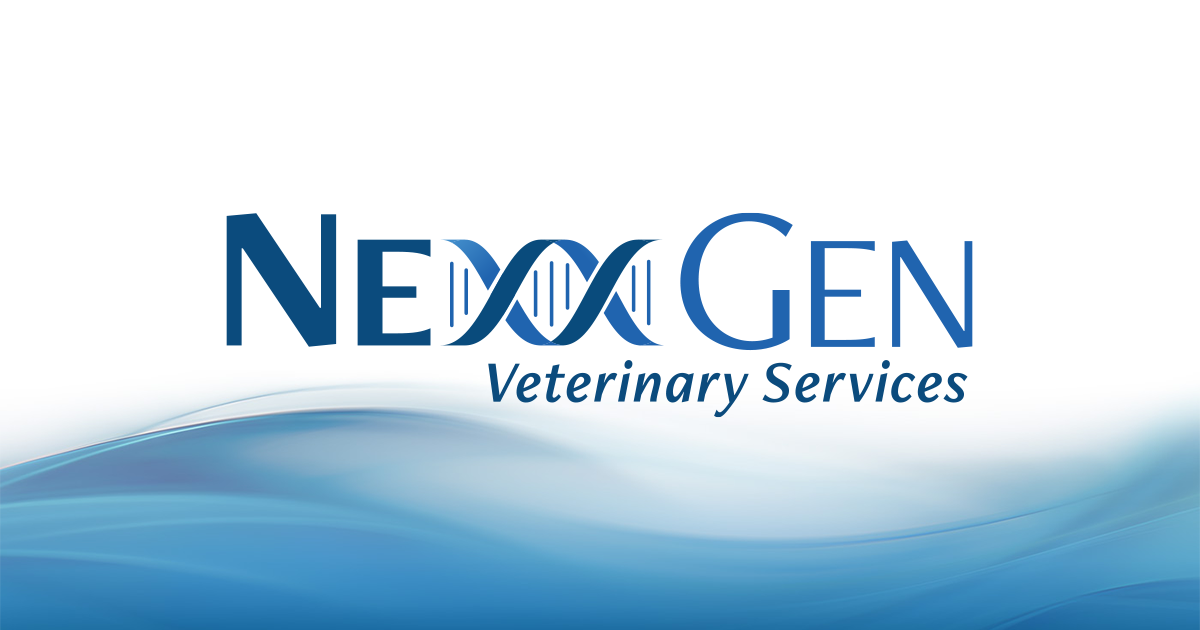 SEO OpenGraph Thumbnail 1